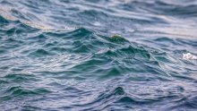 More u zaštićenoj laguni u Istri i dalje je zagađeno fekalijama, kupanje je zabranjeno