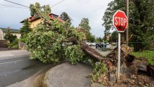 Zagreb će stabla srušena u nevremenu dijeliti građanima za ogrijev