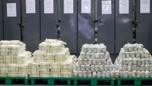 Zaplijenjena dosad najveća količina droge u Rotterdamu, bila u kontejnerima banana