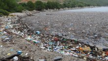 Oćišćene uvale Prapratno, Zamali i Trstenik