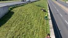 Nakon niza kritika zbog previsoke trave u Zagrebu oglasili se iz Grada