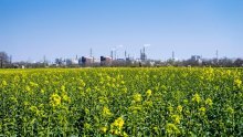 Njemačke kompanije bježe u inozemstvo: Klimatski ciljevi će uništiti industriju!