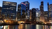 Više od 1000 ptica stradalo u jednoj noći; zaletjele se u istu zgradu u Chicagu