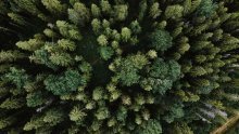 Klimatska kriza u fokusu: Nužan zaokret ka održivoj budućnosti