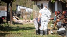 Svinjogojci pri HPK: Podrška Vladinom programu potpore nakon suzbijanja kuge