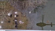 Policija kod Novske spasila 28 stranih državljana, objavljena snimka akcije