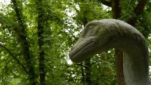 Znanstvenici identificirali novu vrstu dinosaura prema otiscima stopala u Brazilu