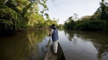 Dodjeljen 'Zeleni Nobel' za zaštitu Amazonske prašume