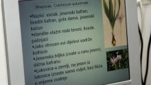 I u Varaždinu muškarac umro zbog trovanja mrazovcem