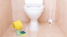 Štiti li spuštanje daske pri puštanju vode od bakterija i virusa? Evo što kaže znanost