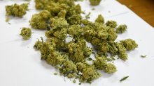 Pali krijumčari droge, morskim putem iz Crne Gore prebacili najmanje 300 kilograma marihuane