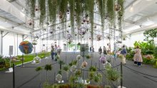 Floraart postaje učionica na otvorenom uz radionice Hrvatskih šuma