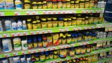 Velika studija otkrila da uzimanje multivitamina može povećati rizik od preuranjene smrti