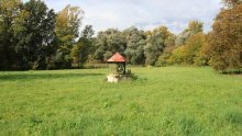 Usred toplinskog vala: Središte bunjevačkih Hrvata ostaje bez vode