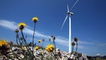 Okolišni porezi u Hrvatskoj: Ključ za postizanje klimatskih ciljeva do 2030.