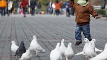 Novi soj ptičje gripe stigao u Europu!
