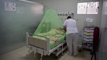 U New Yorku upisana prva smrt od smrtonosnog virusa koji prenose komarci