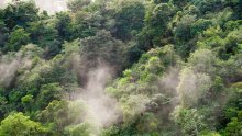 Kako usporavanje krčenja Amazone utječe na zdravlje Brazilaca? Istraživači imaju pokazatelje