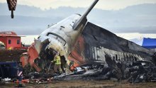 Fatalan sudar rezultirao sa 179 mrtvih: Koliko su ptice uistinu opasne za avione?