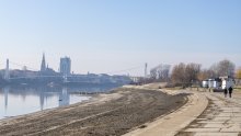 Bizarno: Netko u Osijeku krade tek posađena stabla