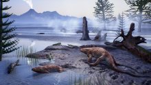 Kako je planinarka slučajno otkrila izgubljeni svijet stariji od dinosaura