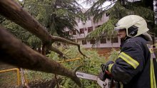 Snažan vjetar u Hercegovini ruši drveće, izdano upozorenje za Mostar