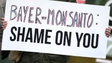 Bayer mora platiti 100 milijuna dolara oboljelima zbog kemikalija u školi: Što su pokazali dokazi?
