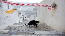 Jak potres sinoć pogodio Santorini, više od 11.000 ljudi napustilo otok