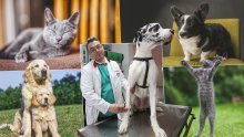 Pitali smo veterinara: Koliko košta imati psa?