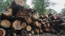 HOK: Povećanje cijena trupaca dodatno ugrožava male drvoprerađivače