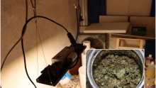 U stanu u centru Zagreba pronađen improvizirani laboratorij i paketi marihuane