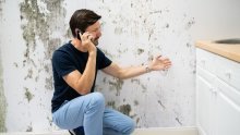 5 Najčešćih pitanja o pojavi vlage i plijesni u kući i stanu