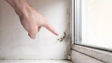 Vlaga i plijesan u domu – uzroci, posljedice i rješenje