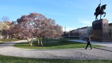Amerikanci nahvalili Zagreb: 'Jedno od najpovoljnijih europskih odredišta s ukusnom hranom'