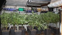 Policija pretražila podrum u Sesvetama; pao muškarac s laboratorijem marihuane