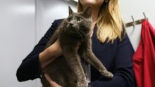 Mačka Sophie izazvala metež u Bijeloj kući, završila u sobi za brifinge