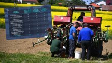 Tko je ovdje lud!? 'Izgubili smo proizvodnju jabuka jer smo milijune ulagali u orahe, a njih imamo nikad manje'