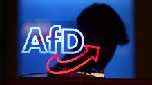 Predstavnici AfD-a izbačeni iz izaslanstva koje dolazi u Hrvatsku