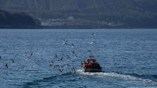 Rusija zabranjuje uvoz i tranzit ribljih proizvoda skupine dobavljača iz EU-a