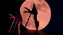 Festival alternativnog kazališnog izričaja na više lokacija u Zagrebu: Tema - briga kao otpor