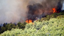 Lokaliziran požar kod Šibenika, kuće nisu ugrožene