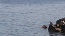 Partnerstvo za plavi Mediteran podijelilo 22 milijuna eura: Ovi projekti su dobili novac