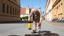 Osječani kreću u obračun sa žoharima: Održavajte prostorije čistim, vole prljavo, tako se hrane
