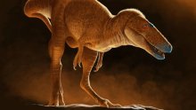 'Zmajski princ Mongolije': Znanstvenici otkrili novu vrstu dinosaura