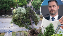 Ministar turizma: Već je saniran veliki dio štete u Istarskoj županiji