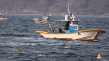 Europska komisija izdvaja milijardu eura za zaštitu svjetskih mora
