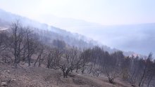 Lokaliziran požar kod Žitnića, vatrogasci ostaju na terenu radi dežurstva i sanacije
