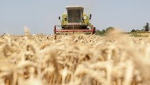 Baranjci luduju za durum pšenicom, a Slavonci vole uljarice i ječam