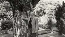 Priprema se film o autoru 'Hobbita'