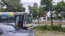 Nevrijeme u Ljubljani iščupalo stablo: Palo na autobus pun ljudi
